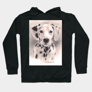 Dalmatian Hoodie